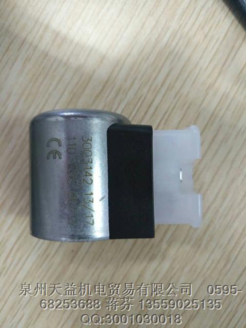 線(xiàn)圈 3003142.JPG